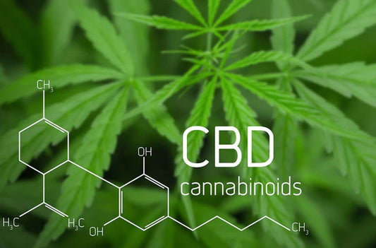 CBD
