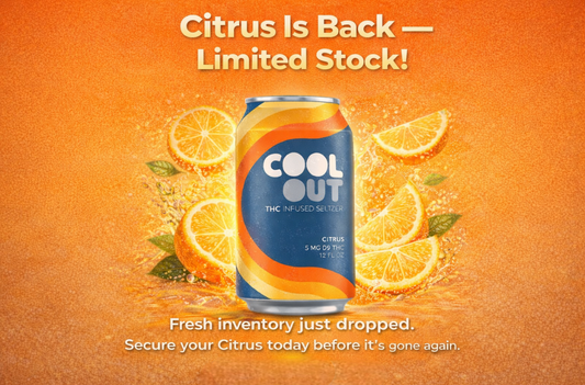 CITRUS IS BACK