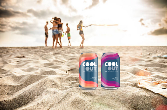 Are Delta 9 Seltzers the Future of Social Drinking?
