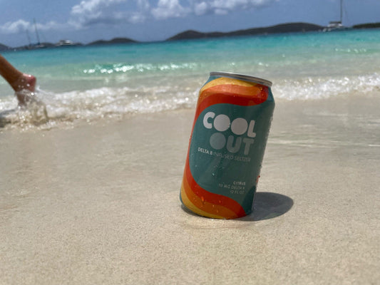 Delta 8 THC Beverages: A Delicious and Convenient Way to Enjoy the Benefits of Hemp