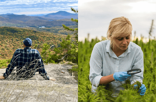 From Happy Hour to Hemp Hour — Why Delta-9 THC Drinks Are the Next Social Wave