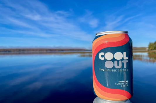 Best Delta 9 Seltzer Flavors Ranked – Which One Tastes Like Summer?