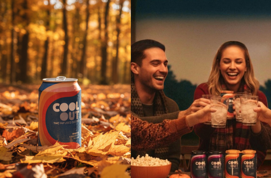 Bioavailability Breakdown: Why Delta 9 THC Seltzers Hit Faster Than Traditional Edibles